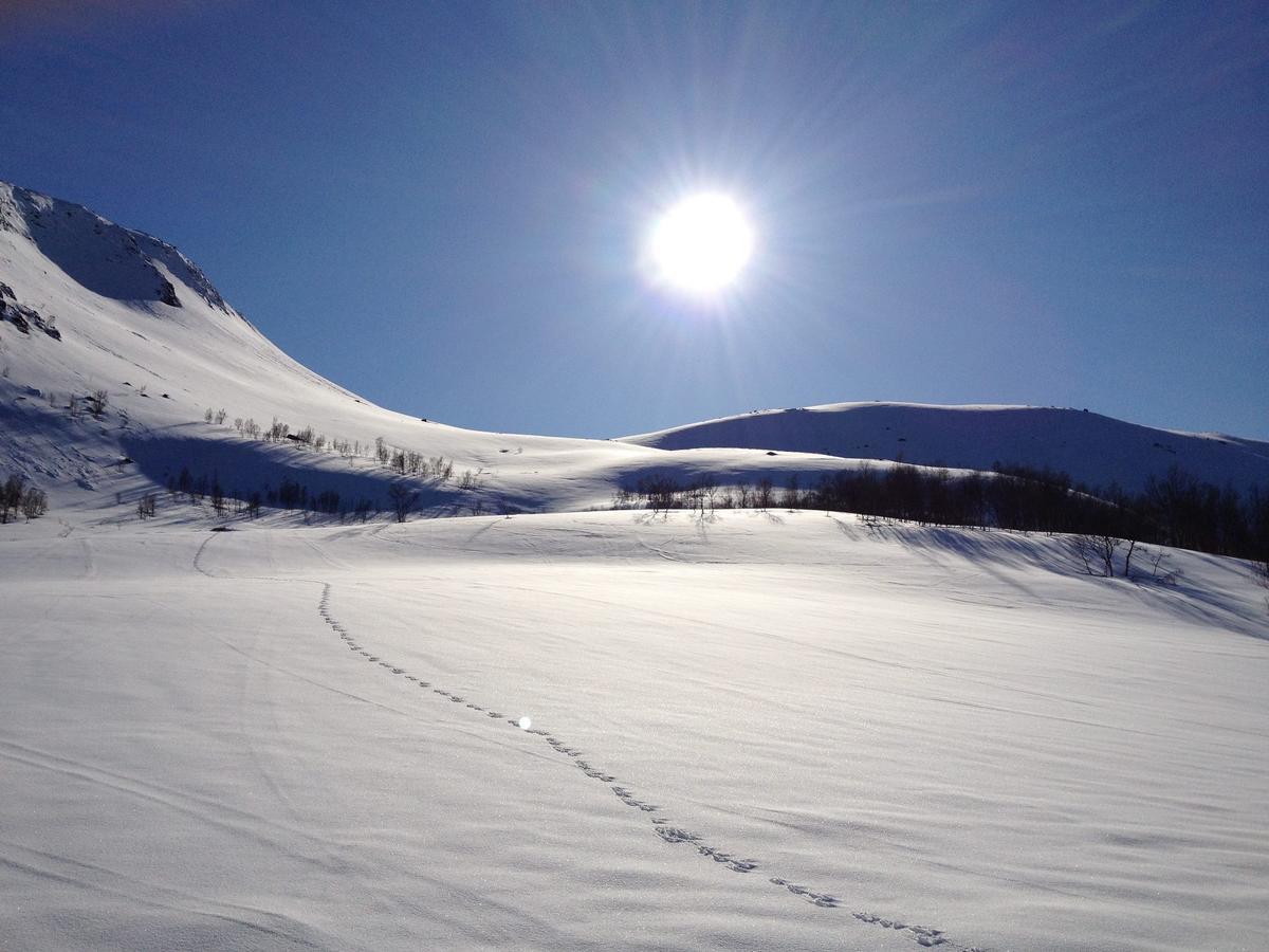 Eidsdal Camping Og Feriehus エクステリア 写真